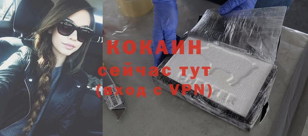 гидра Володарск