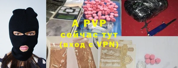 гидра Володарск