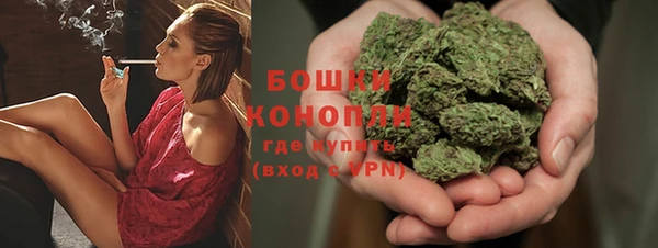 гидра Волосово
