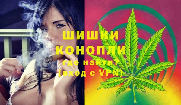 гидра Вязники