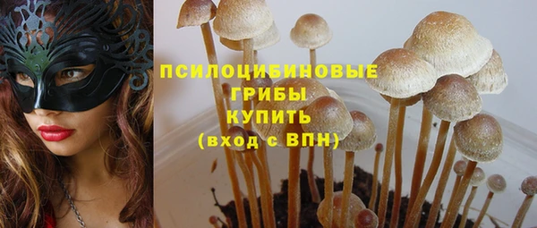 меф Сафоново