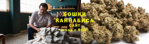 гидра Володарск